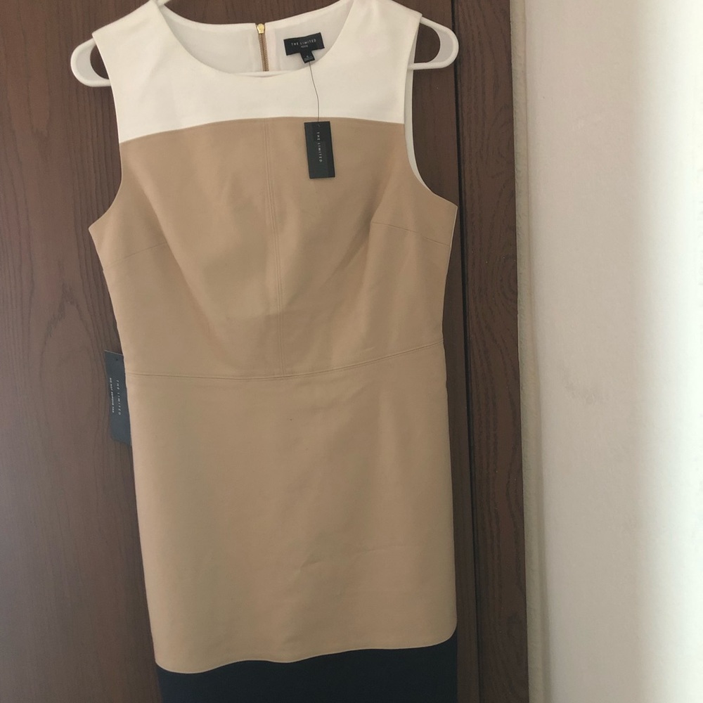 The Limited color block sheath dress.